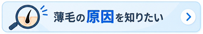 薄毛の原因を知る