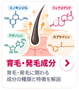 育毛・発毛成分