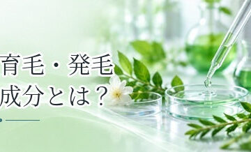 育毛・発毛成分とは？育毛剤・発毛剤に使われる成分の違いをわかりやすく解説