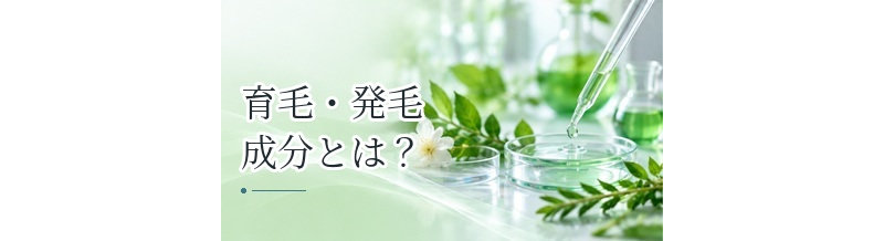 育毛・発毛成分とは？育毛剤・発毛剤に使われる成分の違いをわかりやすく解説