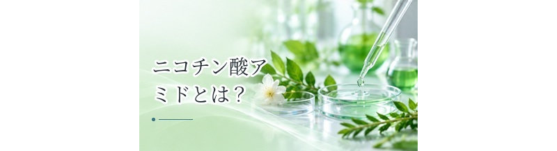 ニコチン酸アミドとは？育毛・頭皮ケア製品で使われる成分の特徴