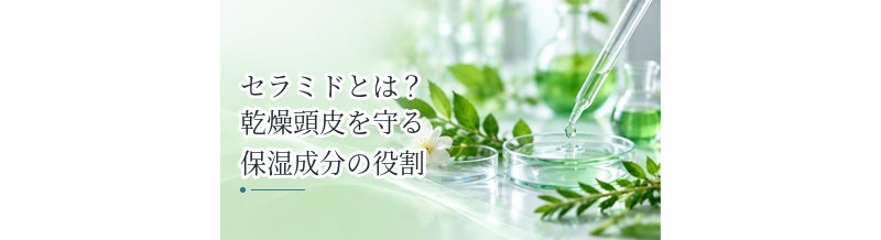 セラミドとは？乾燥頭皮を守る保湿成分の役割を解説