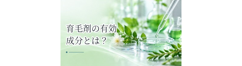 育毛剤の有効成分とは？成分表示を見るときの基本を解説