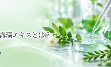 海藻エキスとは？育毛剤・頭皮ケア製品で使われる理由