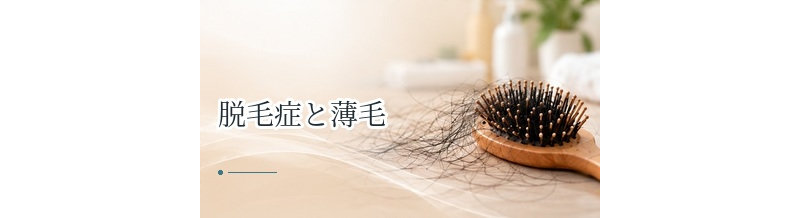 脱毛症と薄毛の違いは？症状・原因・受診の考え方を解説