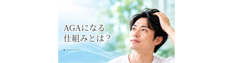 AGAになる仕組みとは？DHT・5αリダクターゼ・ヘアサイクルの関係