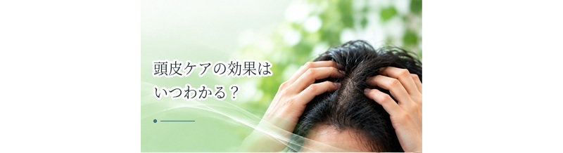 頭皮ケアの効果はいつわかる？頭皮状態と髪の変化を分けて考える