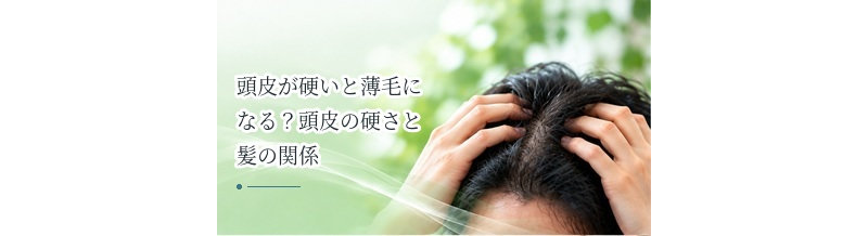 頭皮が硬いと薄毛になる？頭皮の硬さと髪の関係を解説