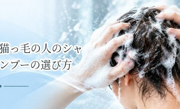 猫っ毛の人のシャンプーの選び方｜重くなりにくいヘアケアを解説