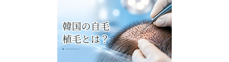 韓国の自毛植毛とは？日本との費用・診療・アフターケアの違い