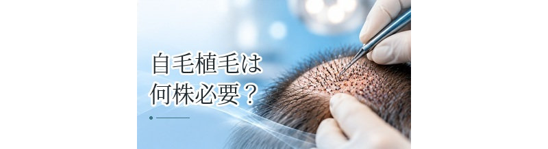自毛植毛は何株必要？グラフト数の目安と薄毛範囲との関係