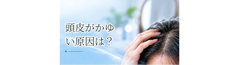 頭皮がかゆい原因は？乾燥・皮脂・炎症・アレルギーなどを解説
