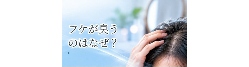 フケが臭うのはなぜ？皮脂・雑菌・頭皮環境との関係