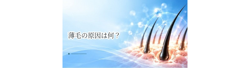 薄毛の原因は何？遺伝・加齢・生活習慣・病気など主な原因を整理