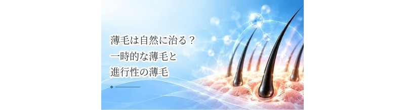 薄毛は自然に治る？一時的な薄毛と進行性の薄毛の違い