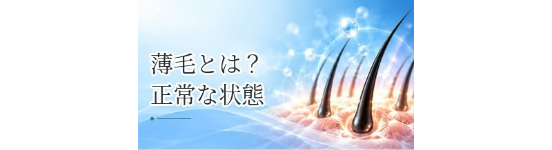 薄毛とは？正常な状態との違い・原因・種類・対策をわかりやすく解説