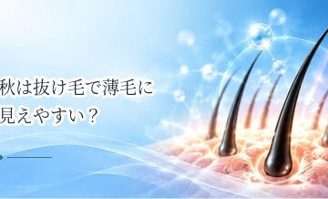 秋は抜け毛で薄毛に見えやすい？季節性の変化と対策