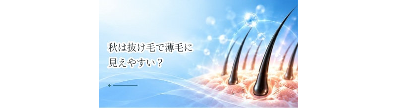 秋は抜け毛で薄毛に見えやすい？季節性の変化と対策