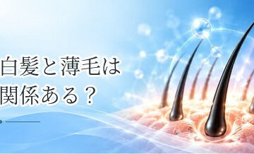 白髪と薄毛は関係ある？白髪が多い人はハゲにくいという噂も解説