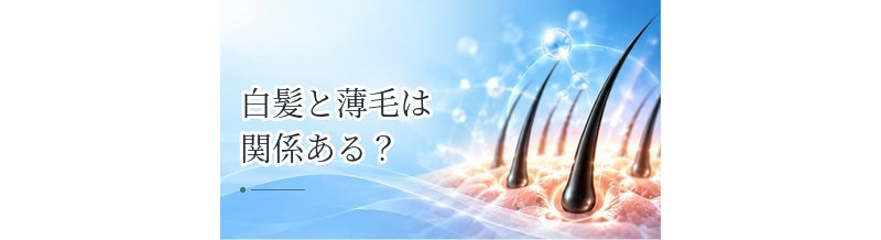白髪と薄毛は関係ある？白髪が多い人はハゲにくいという噂も解説