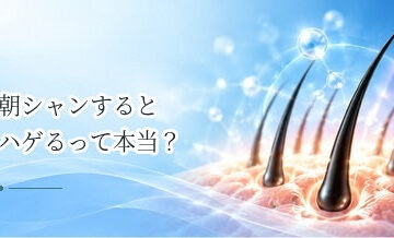 朝シャンするとハゲるって本当？洗髪のタイミングと薄毛の関係