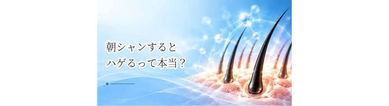 朝シャンするとハゲるって本当？洗髪のタイミングと薄毛の関係