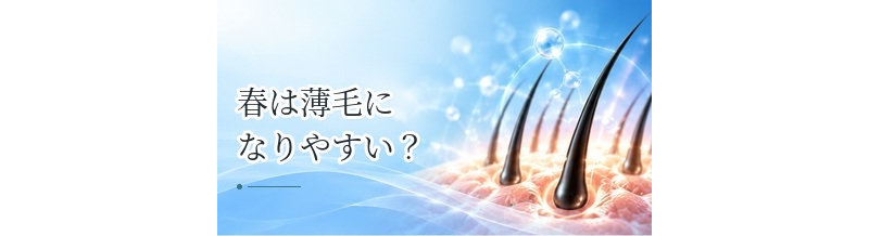 春は薄毛になりやすい？季節の変化と髪・頭皮のケア