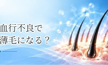 血行不良で薄毛になる？頭皮の血流と髪の成長の関係