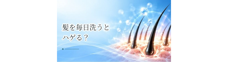 髪を毎日洗うとハゲる？シャンプーの頻度と薄毛の関係