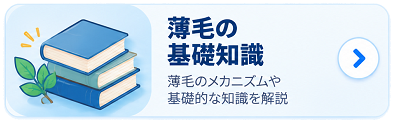 薄毛の基礎知識