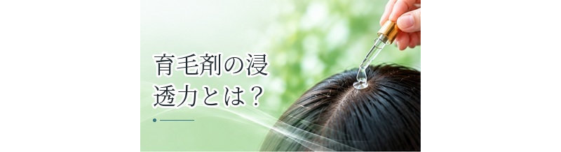 育毛剤の浸透力とは？広告表現を見るときに確認したいポイント