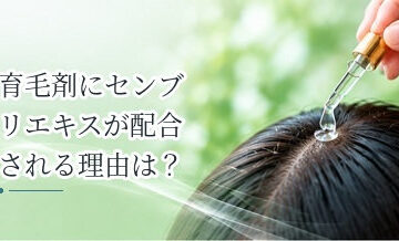 育毛剤にセンブリエキスが配合される理由は？特徴と役割を解説