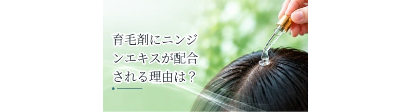 育毛剤にニンジンエキスが配合される理由は？成分の特徴を解説