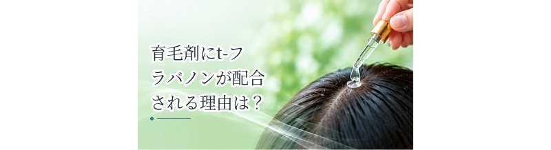 育毛剤にt-フラバノンが配合される理由は？成分の特徴を解説